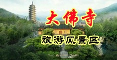 大鸡巴插女阴免费看中国浙江-新昌大佛寺旅游风景区